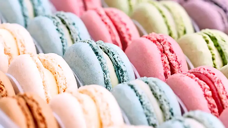 Macaron XL